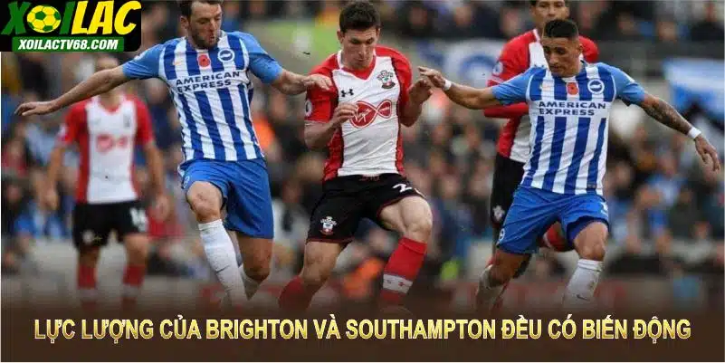 Lực lượng của Brighton và Southampton đều có những biến động đáng chú ý