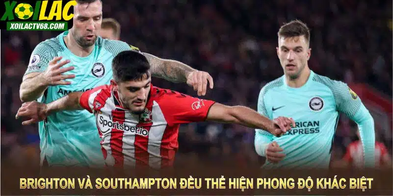 Brighton và Southampton thể hiện phong độ khác biệt thời gian gần đây