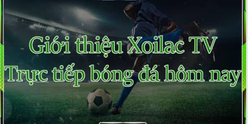 Giới thiệu Xoilac Tivi - kênh trực tiếp bóng đá số 1 Việt Nam