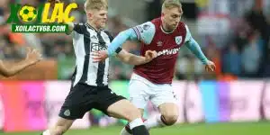 nhận định Newcastle vs West Ham