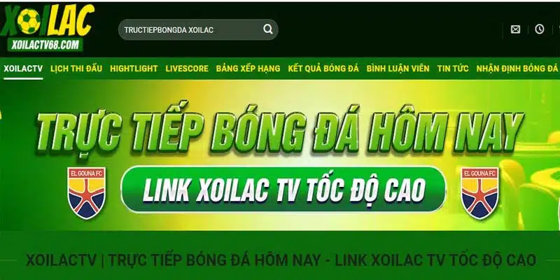 Thỏa sức xem bóng đá trực tiếp giải đấu C1 2024/2025 tại nền tảng Xoilac TV